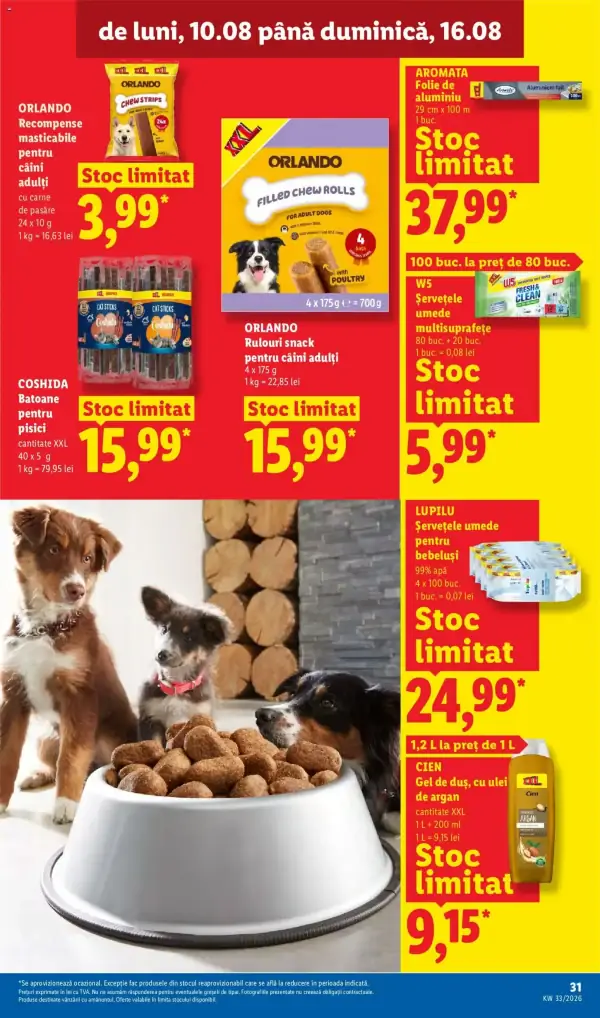 Pagina 31