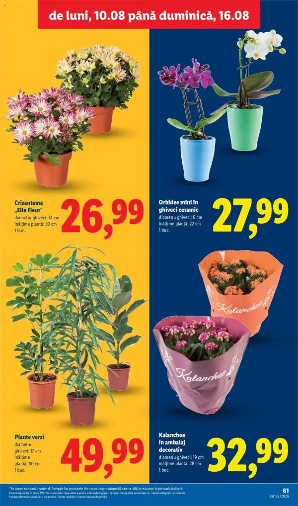 Pagina 61