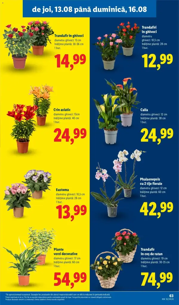 Pagina 63