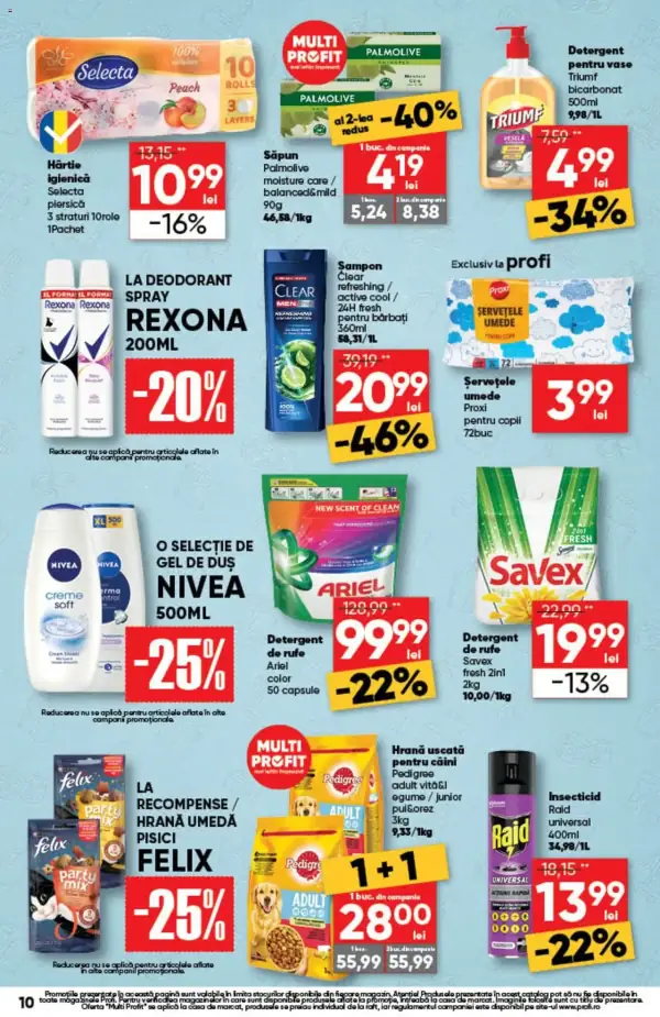 Pagina 10