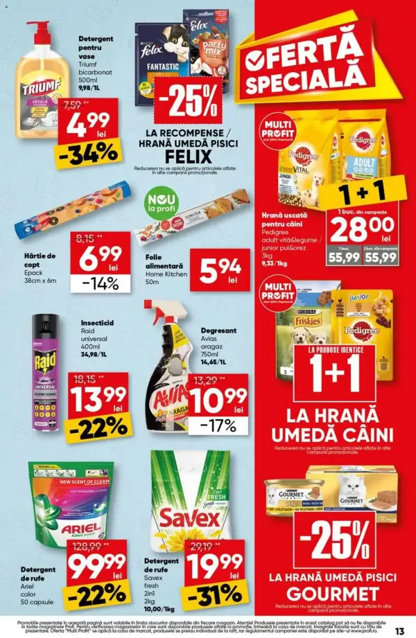 Pagina 13