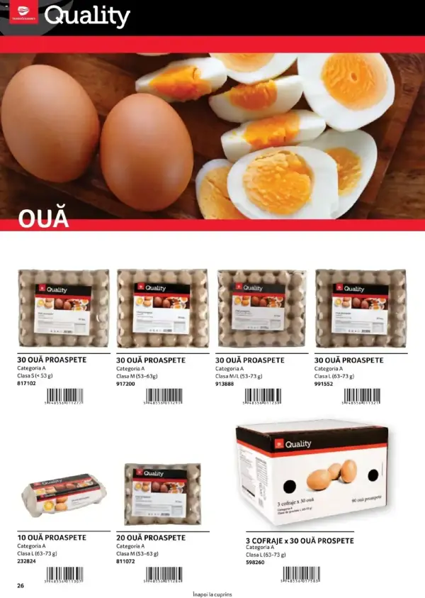 Pagina 26