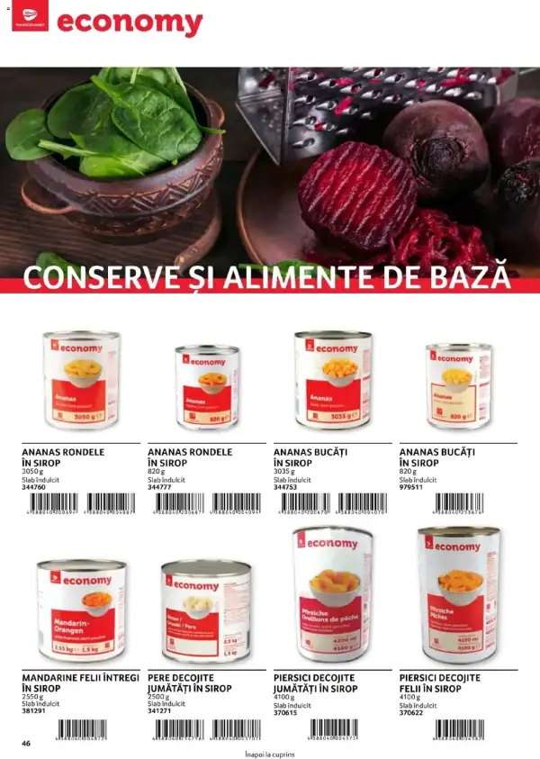 Pagina 46