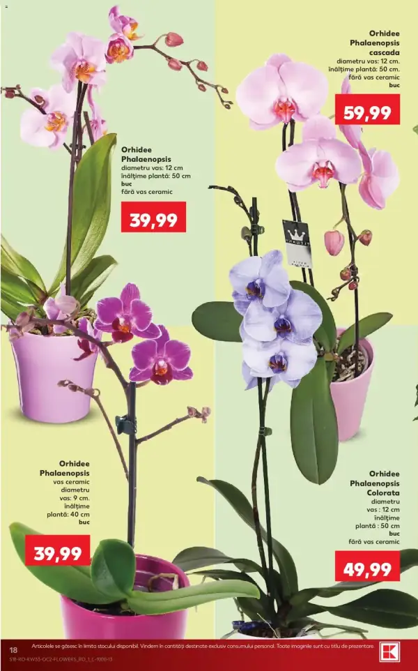 Pagina 18