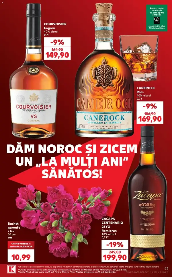 Pagina 53