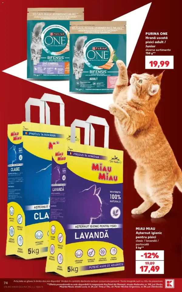 Pagina 74