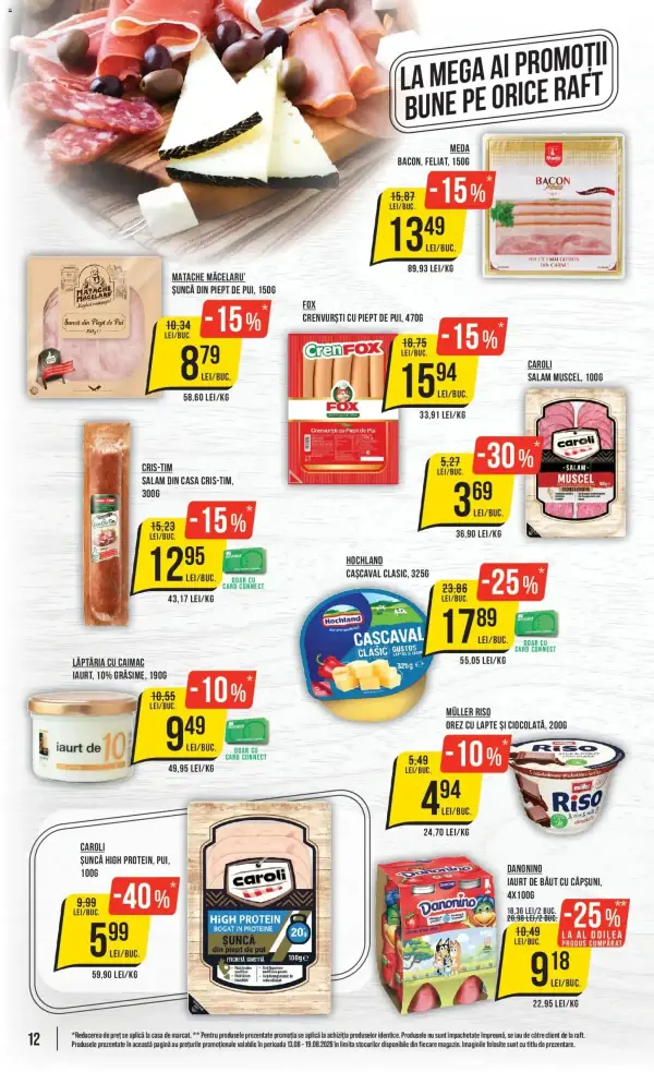 Pagina 12
