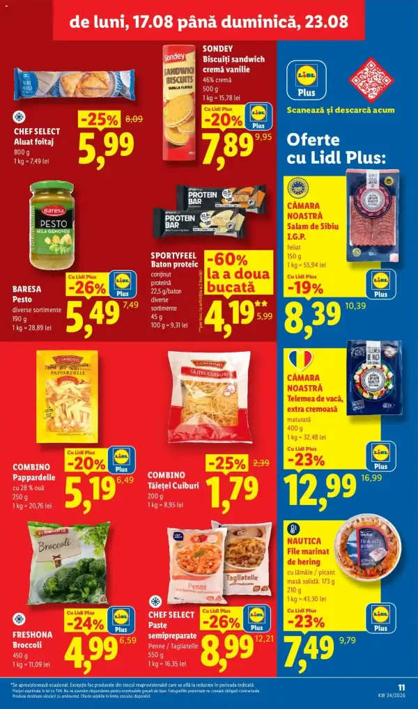 Pagina 11