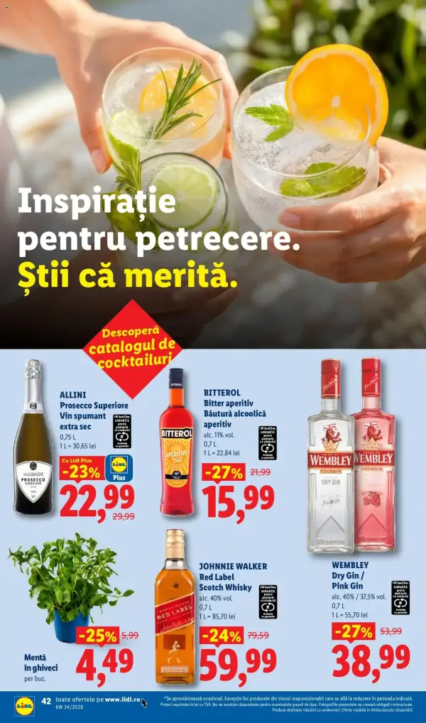 Pagina 42