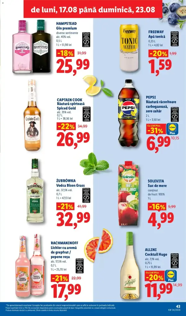 Pagina 43