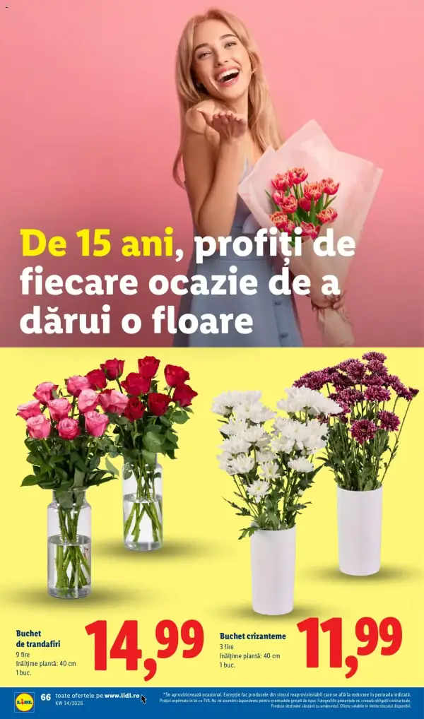 Pagina 66