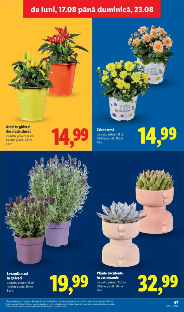 Pagina 67