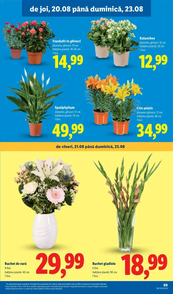 Pagina 69