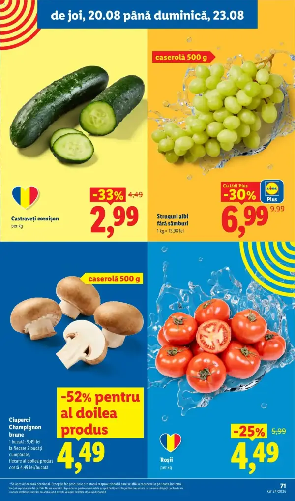 Pagina 71
