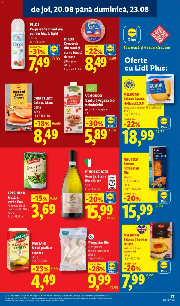 Pagina 77