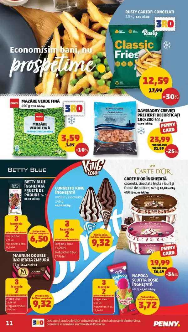 Pagina 11