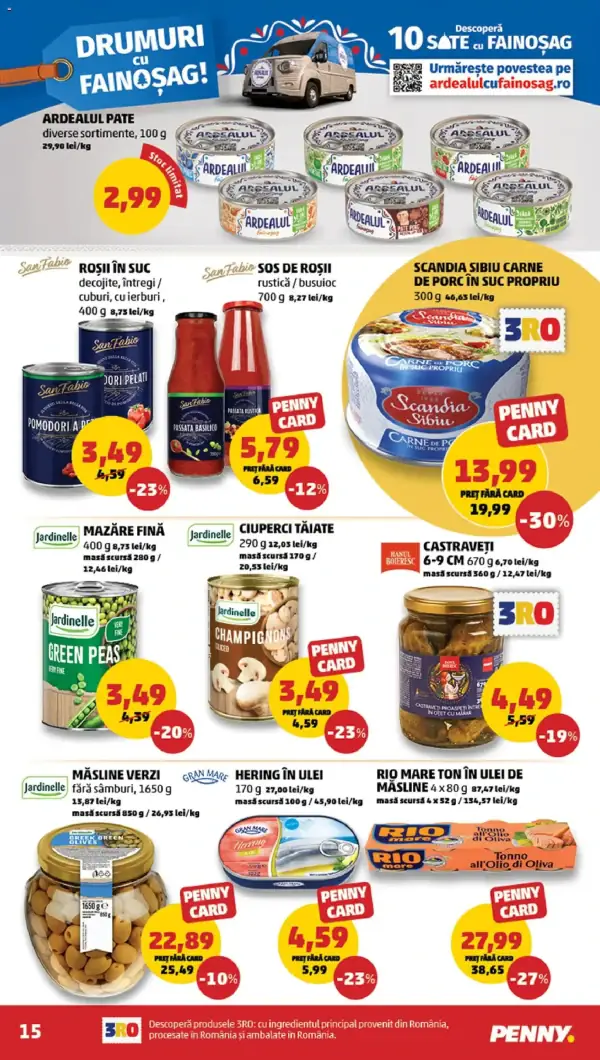 Pagina 15