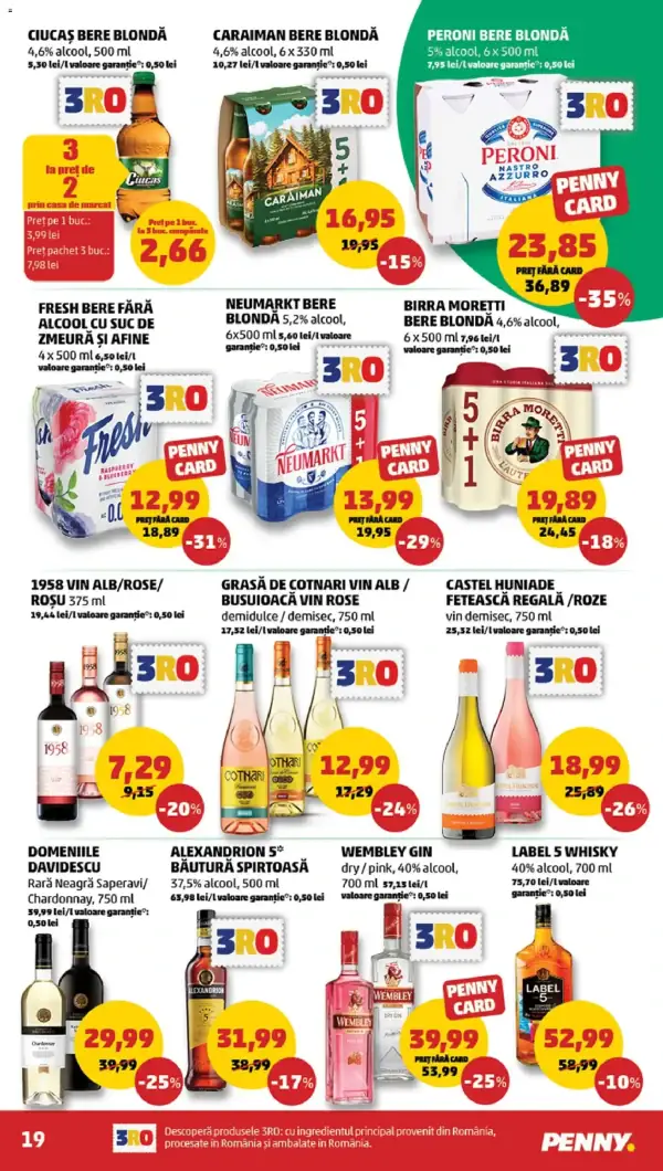 Pagina 19