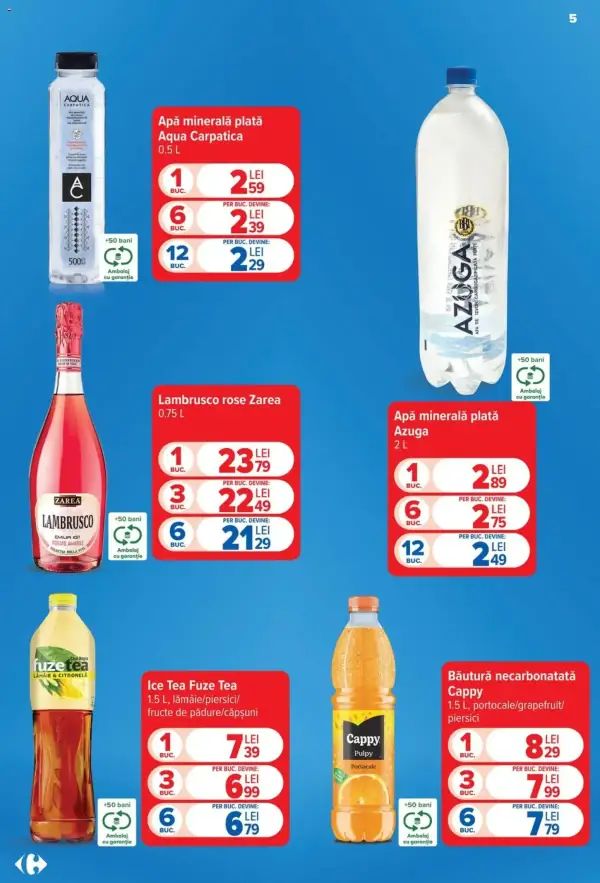 Pagina 5