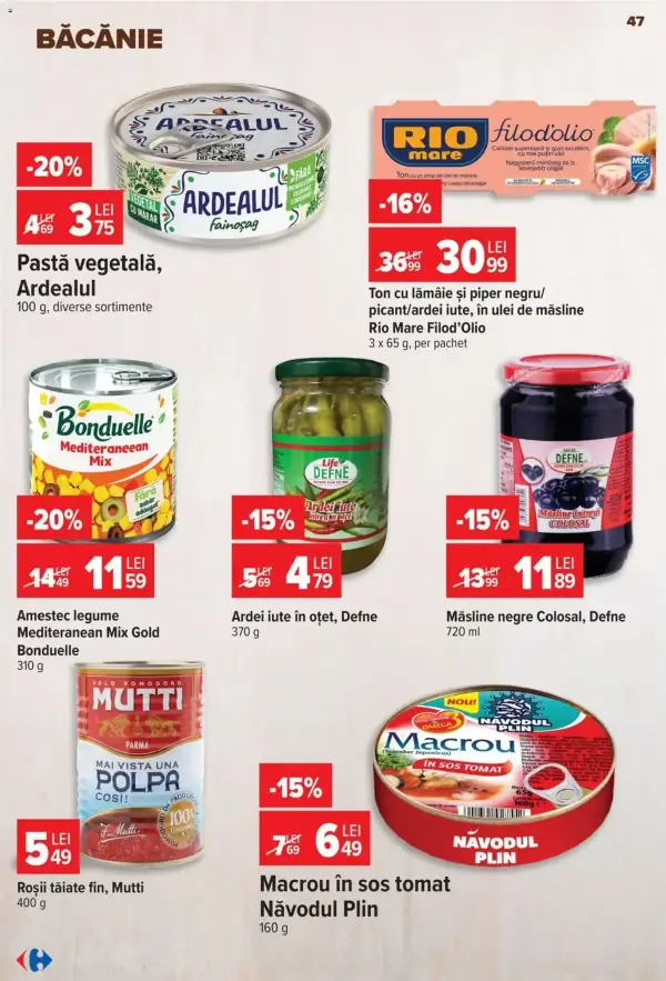 Pagina 48