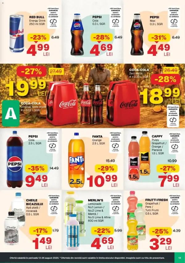 Pagina 13