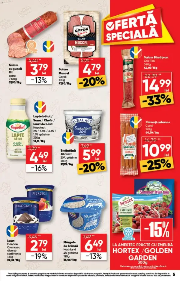 Pagina 5