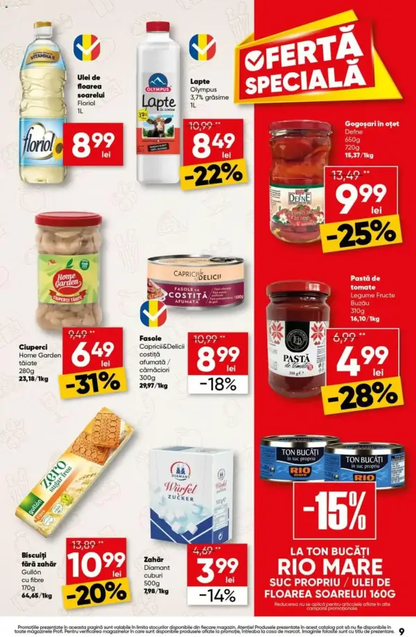 Pagina 9