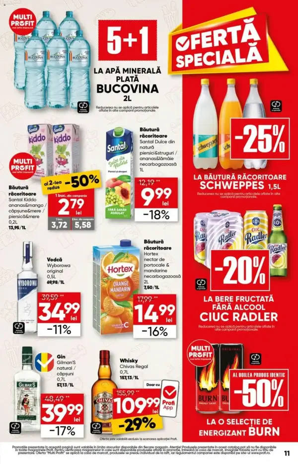 Pagina 11