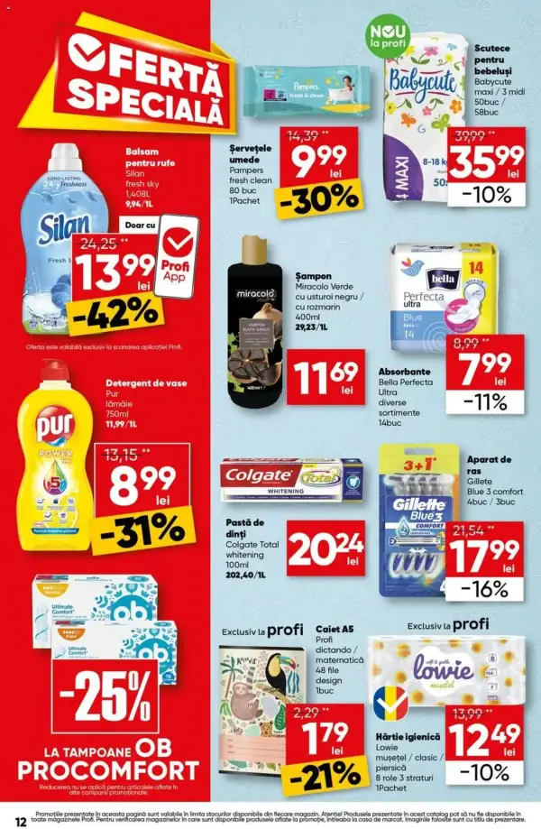 Pagina 12
