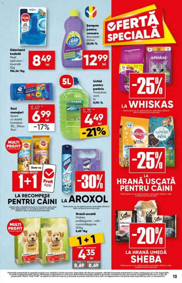 Pagina 13