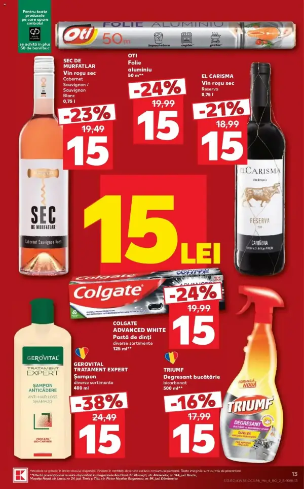Pagina 13