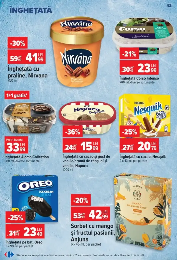 Pagina 43