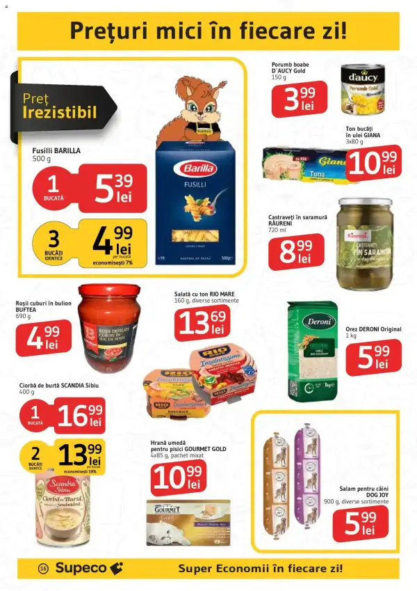 Pagina 16