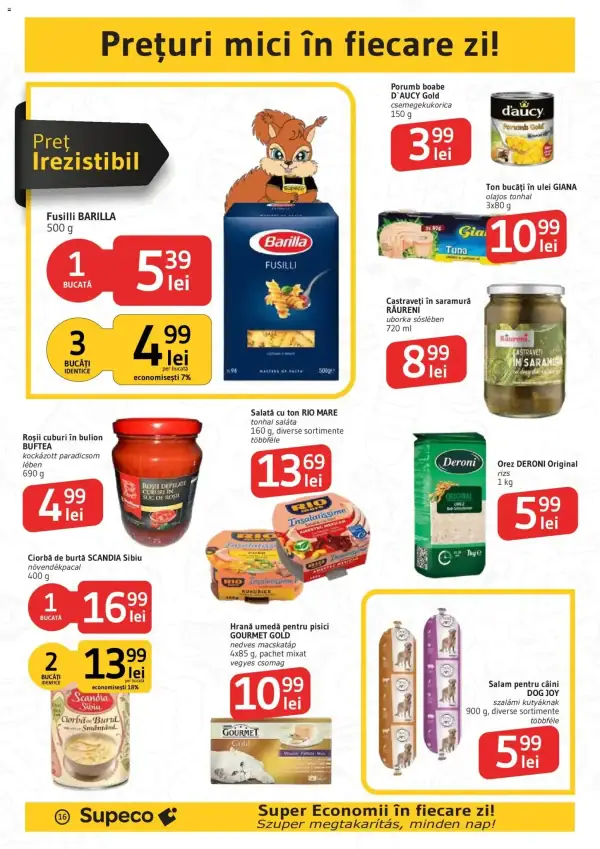 Pagina 16