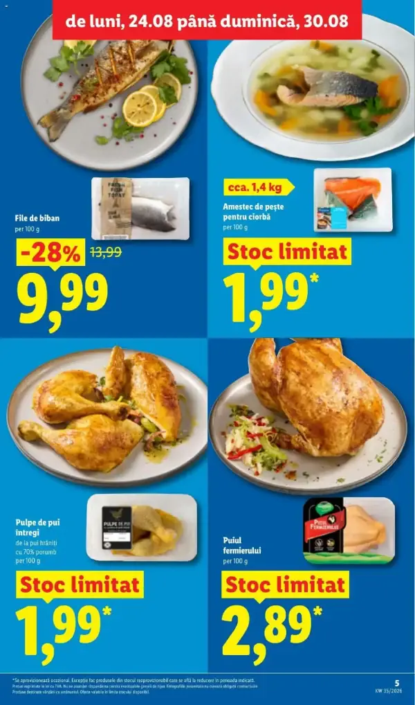Pagina 5