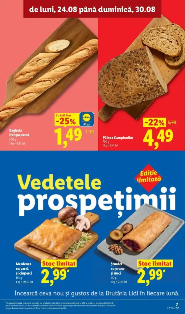 Pagina 7