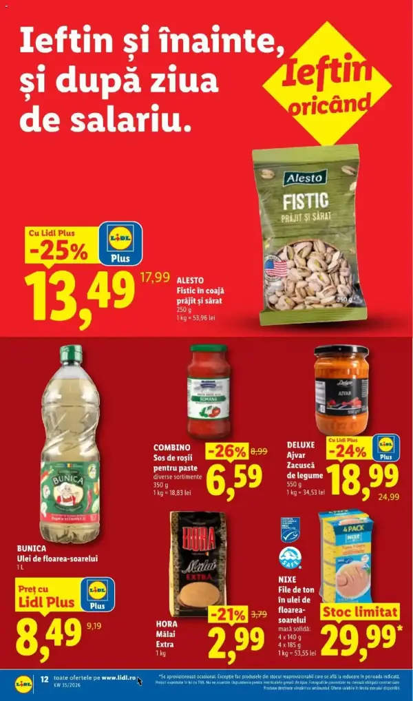 Pagina 12