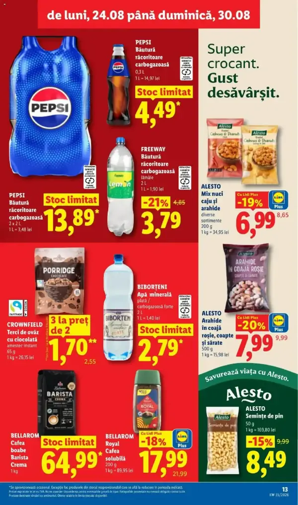 Pagina 13