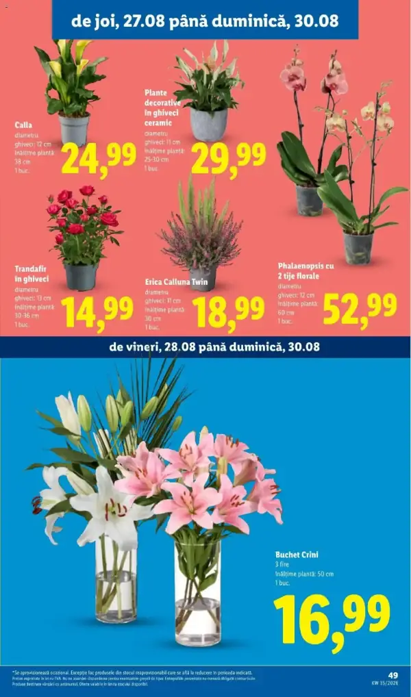 Pagina 49