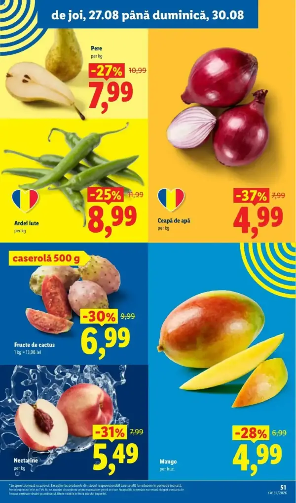 Pagina 51