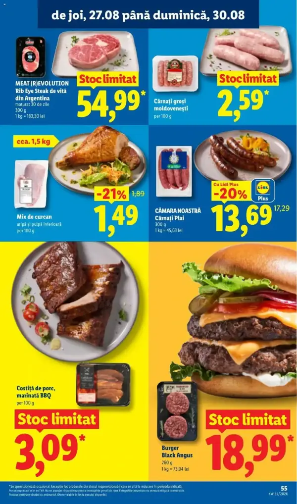 Pagina 55