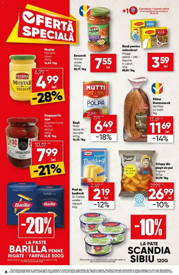 Pagina 6