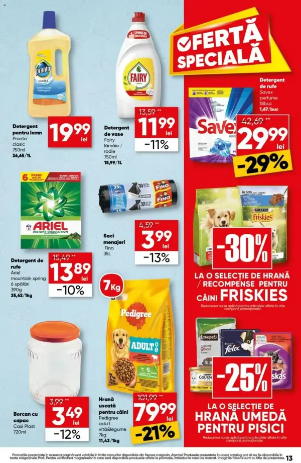 Pagina 13