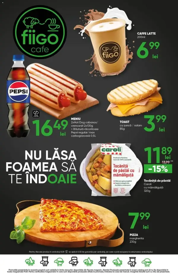 Pagina 17