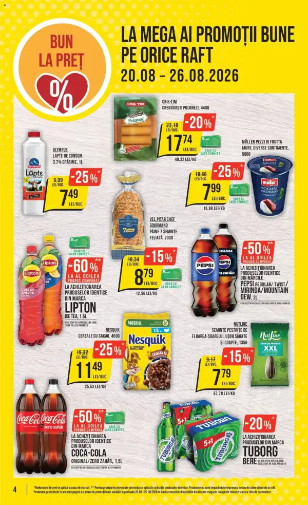 Pagina 4