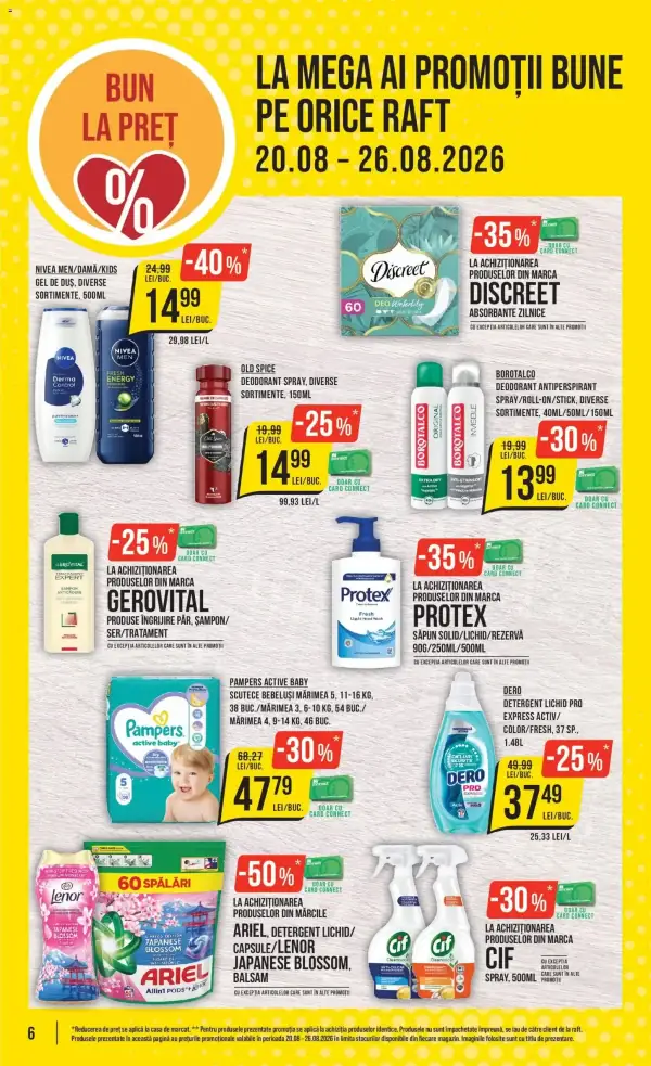 Pagina 6