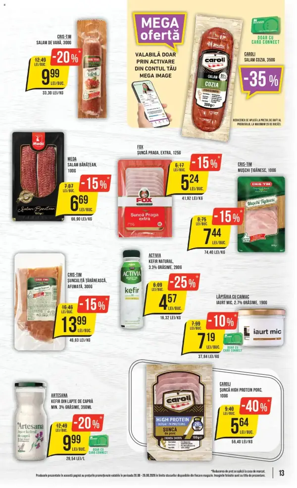 Pagina 13