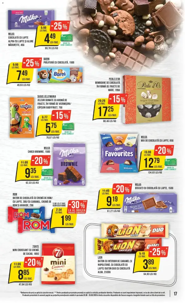 Pagina 17
