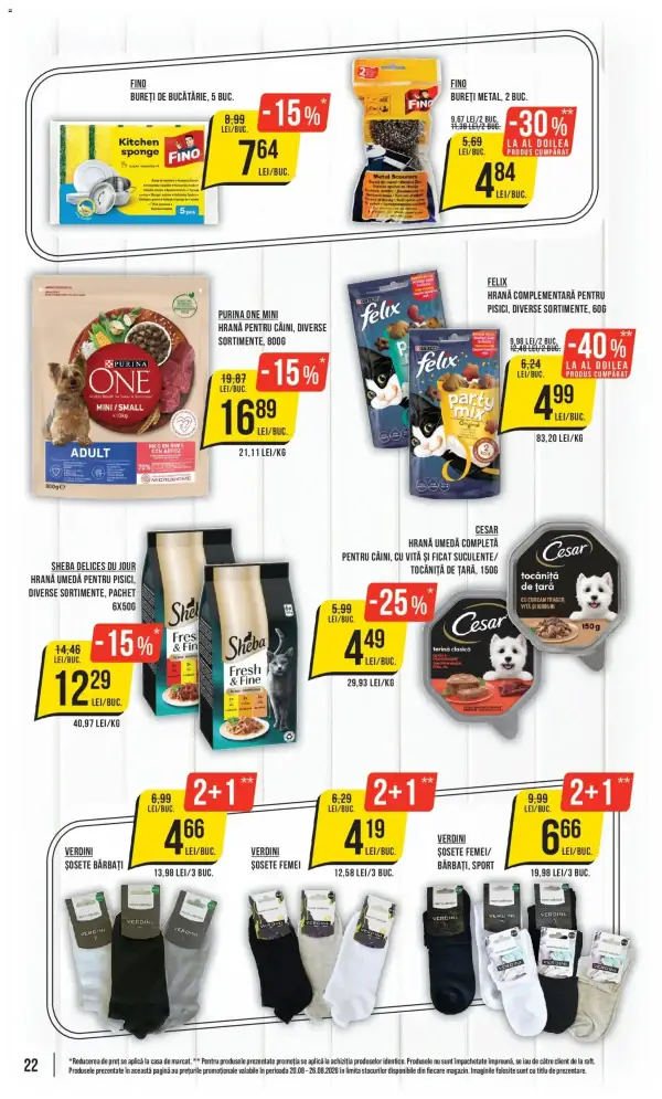 Pagina 22