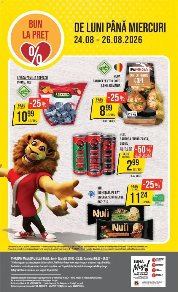 Pagina 24